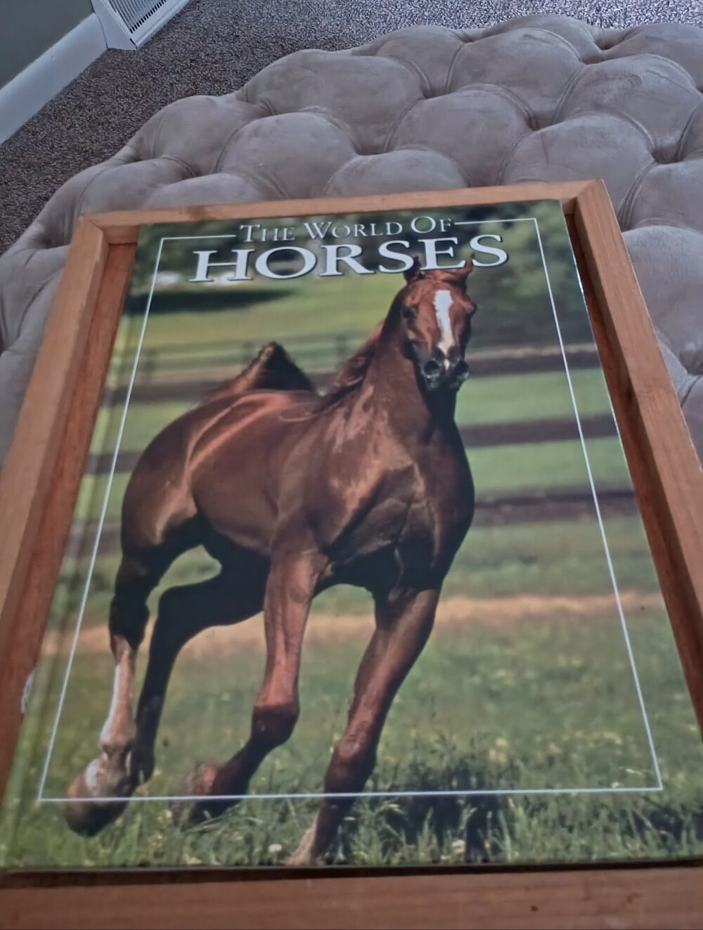 The World Of Wild Horses By Angela Rixon, Oversized, Hardcover Book, 96 Pg, 1995
